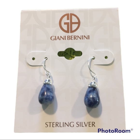 Sodalite Stone Drop Earrings in Sterling Silver